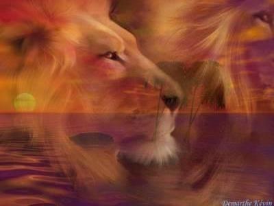 el lion